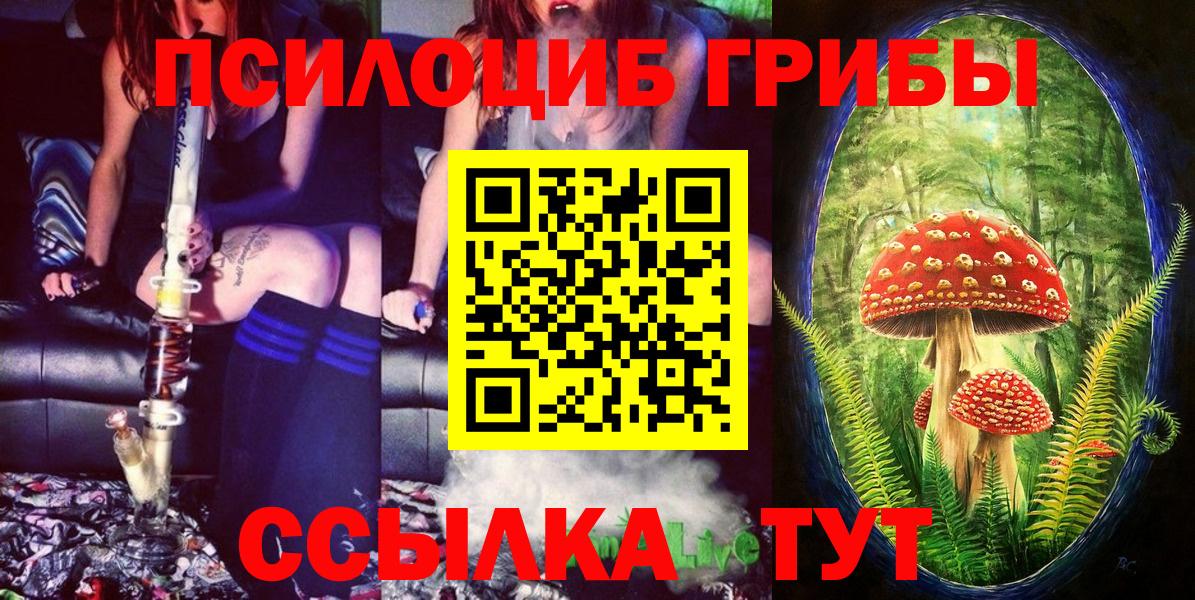Псилоцибиновые грибы ЛСД  Вход с VPN  Вичуга 