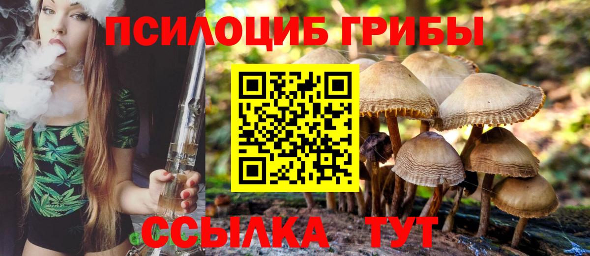 Псилоцибиновые грибы Psilocybine cubensis Вичуга